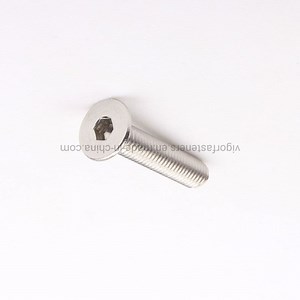 [Hot Item] Stainless Steel Socket Flat Head Cap Screw for Automotive Hex Nails