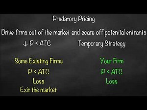 Predatory Pricing Model