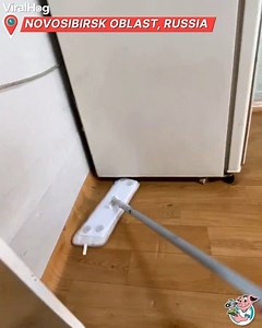 44K views · 502 reactions | We all have been there. Fishing for mice can be scary! 粒 | ViralHog | Facebook