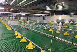 [Hot Item] Pre Engineered Steel Structure Chicken Farm Buildings Design Poultry Barn