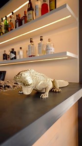 M•H•O•N•D•O•R•O - Where wilderness and luxury intertwine. Embark on the adventure of a lifetime amidst the untamed beauty of a big five game reserve. @welgevonden_official Indulge in breathtaking views and experience unforgettable adventures that will leave your soul naturally fulfilled. Discover a world where safari meets opulence. 🌿 All lodge & Decor footage by @everseensa 📷 Cover Photo by @armadillo_media 📷 #MhondoroSafariLodge #mhondoro #mhondorosafarilodgeandvilla #LuxuryWilderness #luxu