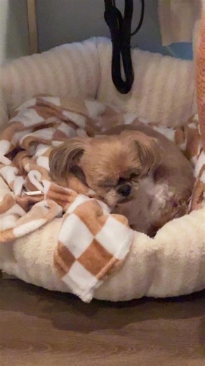 Booty's Funny Morning Routine: Time to Get Up