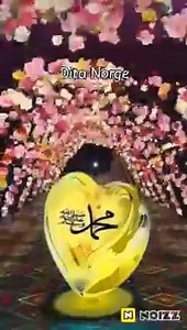 29 reactions | Dërgoni salavate sot pa ndal ❤  #sinqeriteti | Sinqeriteti | Facebook