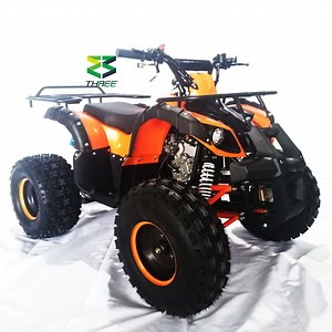 [Hot Item] 4 Wheeler Hot Sale 125cc Adult ATV Quad ATV for Kids at Sale
