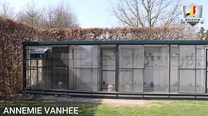 15 reactions | SAVE THE DATE FEPA LIVE AT PERTH AMBOY RACING PIGEON CLUB, NEW JERSEY, USA FRIDAY DECEMBER 8 For more information visit www.FeathersElitePigeonAuctions.com | Feathers Elite Pigeon Auctions | Facebook