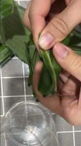 #nhungdieuthuvi #heucooking95