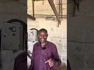 The Palm kernel crushing business