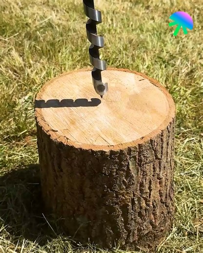 21K views · 44 reactions | Genius tree stump removal 蝹 | Naturee | Facebook