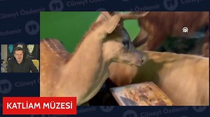 Av hayvanları koleksiyonu basıldı. #CüneytÖzdemir #koleksiyon #av | Cuneyt Ozdemir