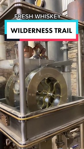 Atlas and Mason on TikTok