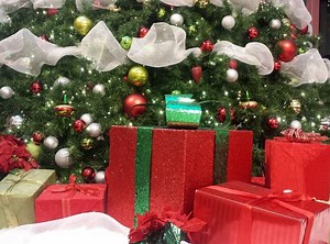 Pheasant Lane Mall Hours Through Christmas