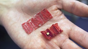 A small and lightweight robot applying the "origami" structure has been improved to evolve into an "Ingestible Origami Robot" that removes accidentally swallowed button cells from the body