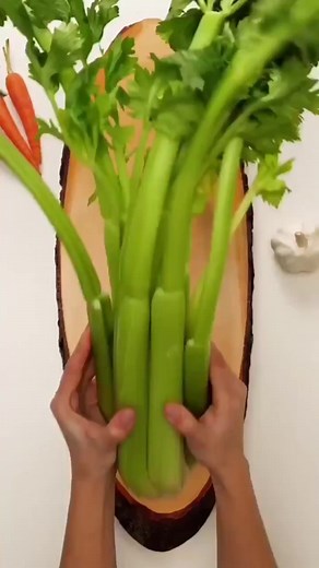 Growing your own celery from scraps 💚 | 5-Minute Recycle