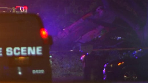 Pilot, 3 Passengers Hospitalized After Small Plane Crash in Florida