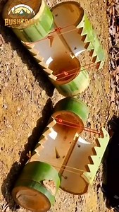 1.5K reactions · 41 shares | Primitive Mouse trap #survivalskills #buschraft #followers #fyp #viralreelsvideo❤️ #followersinstagram #solocamping #followforfollowback #survival #trap | Jerwin Bantillo | Facebook