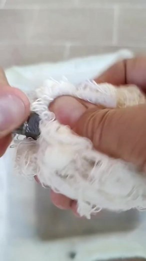 Motorcycle techies #cleaningservices #cleaninghacks #cleaningeating #cleaningbusiness #cleaning #cleaninghouse #cleaningmode #cleaningup #cleaningoutmycloset #reelsvideo #cleaningday #cleaninglady #cleaningshoes #cleaningandmemeing #cleaningproducts #cleaningservice #cleaningredients #cleaningtips | Eugene Auer