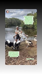 Currumbin Wildlife Sanctuary on Reels