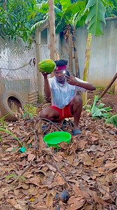 166K views · 8.6K reactions | Tattoo - sweet Paw paw ( Creativity Video) | Dave Magics6 | Facebook