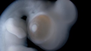 what-darwin-never-knew