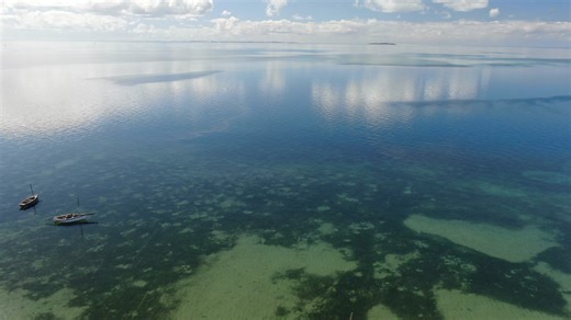 2.8K views · 47 reactions | Barefoot bliss with the ocean on your doorstep. Come and stay with Mozambique Horse Safari at Seahorse Beach House ♘  | Mozambique Horse Safari | Facebook
