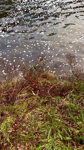 #glencoe is just beautiful. Do you agree??#glencoe #scotland #visitscotland #scottishhighlands #highlands #mountains #glencoescotland #winnetka #thisisscotland #landscape #hiking #nature #ig #wilmette #chicago #scotlandhighlands #hiddenscotland #glenetive #lovescotland #photography #scotlandtravel #scotlandexplore #greatshots #explorescotland #landscapephotography #travel #scotlandshots #scotlandphotography #adventure | My Highland Photography by Pat McElhinney