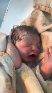 twins swaddled 👼🐣#newborn #short #youtubeshorts #babygirl | Viral Video