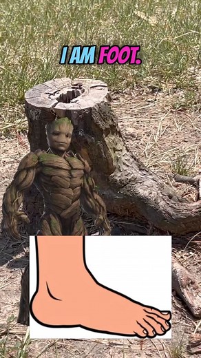 RIP Groot #comedy #guardiansofthegalaxy #groot #marvel | Xtheromanempire
