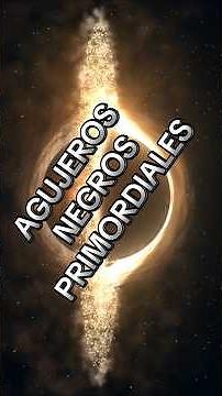 What are primordial black holes?