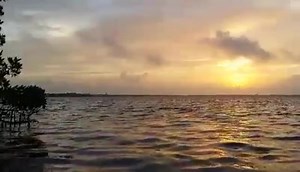 15K views · 164 reactions | A CUDJOE BAY SUNRISE... Good morning from FishMonster and Island Jane. | FishMonster Key West | Facebook