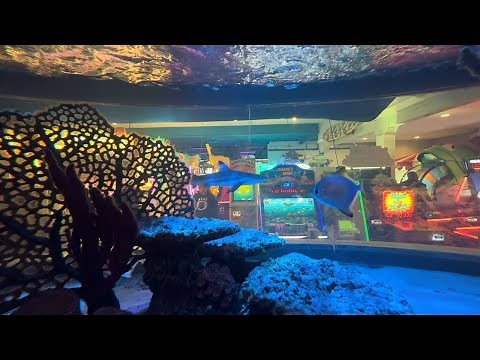 UNDERWATER ARCADE?! Alley Oops Uptown (Ocean City MD), 4K arcade walkthrough & tour, August 2024