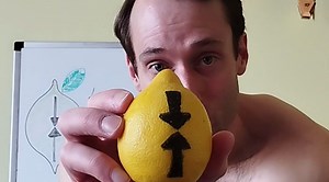 Stress Leukogram Explained