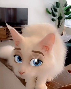They say this filter makes your pet look like a Disney character? 🤔 (via TT/purrincecharlie) | Whistle Worthy