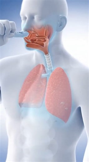 How an Inhaler Works Inside Your Body | 3D Medical Animation 😴
