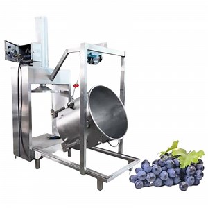 [Hot Item] Commercial Hydraulic Cold Press Juicer Extractor Machine Grape Press Machine