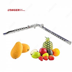 [Hot Item] Dimensions Weight Optical Sorting Fruit Grading Equipment Mango Grading Sorting Machine
