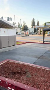 U.S.A🇺🇲 👮‍♂️ | Savoir vivre news