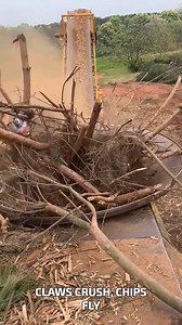 117K views · 260 reactions | Claws Crush, Chips Fly #WoodChipper #TreeRecycling #SmartGrinding | YNP Media | Facebook