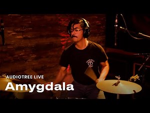 Amygdala - It May Be Those Who Do Most, Dream Most | Audiotree live