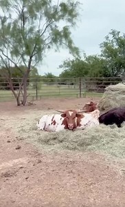 Always the best time at the ranch🤍 | Tori Martin