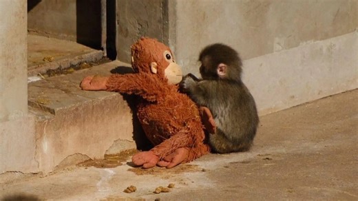 Sssnakes.s luna ruff nude c’est comme ça que quand elle