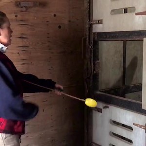 17K views · 716 reactions | Training the animals continues, Dawn is target training Elk Charisa.  Amanda, Wild Connections Zookeeper | Milwaukee County Zoo | Facebook