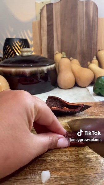 MegGrowsPlants on TikTok