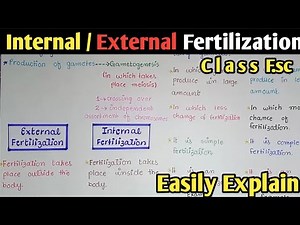 Fertilization | External And Internal Fertilization In Urdu Hindi | Class 11 Biology