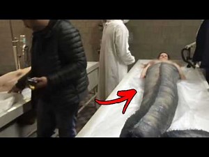 Top 10 Mermaid Legends That Might Actually Be True - Part 2