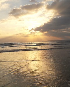 13 reactions | 2023 - Done! 壟 What adventures do you have planned for 2024? | Classic Cottages | Facebook