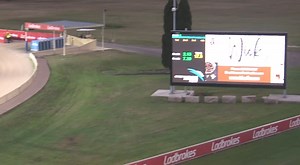 ⏱️New Track Record⏱️ 🐗Sicario Beast 🏁320m 📍Richmond 🔥17.83 🧬 Beast Unleashed x Oscar’s Alibi 🌟 14 wins🥇from 18 appearances 👏🏻 Congratulations to Peter Lagogiane & Jimmy Corbo! 🎥 thedogs.com.au | THE GREYHOUND GIRL