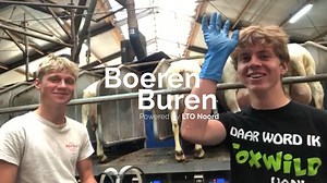 54K views · 123 reactions | Is vakkenvullen niets voor jou maar ben je wél op zoek naar een bijbaan? We go(a)t you!  Arno en Joost leggen uit waarom werken op de geitenboerderij zo leuk is. | Boeren Buren | Facebook