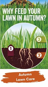 🍂Aftercut All in One Autumn has been specially formulated to control moss whilst also keeping your lawn strong as well as healthy over the winter months. 🍂Kills moss effectively 🍂Greens, feeds and also conditions 🍂Stronger root system to improve nutrient uptake 🍂Produces a hard wearing lawn to withstand the winter months Shop online Nationwide delivery #lawncare #autumnlawncare #aftercut #autumnaftercut | Drinagh Garden Centre