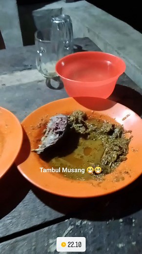Jadi di luat nami on, hama do Musang on, ai habis attong diparpepe manuk. Jadi ro ma akka dongan na hobby martembak, di buru ma. Anggo rasana tabo do, dang pala manis nian songon huting. Alai empuk ma daging na jala dang pala godang tabotabona 😊😊 #horas #batak #kuliner #interaksi #fbpro #jangkauanluas | Manro Canro Silaban