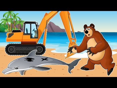 The Bear Farm:Dolphin Stranded On The Coast, Tractor, Ambulance, Excavator | Construction vehicle